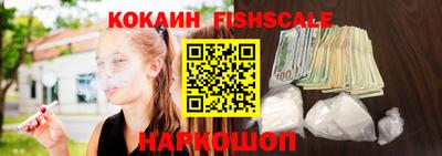 мдпв Камышлов