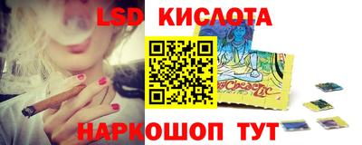 мдпв Камышлов