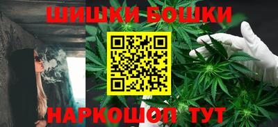 мдпв Камышлов