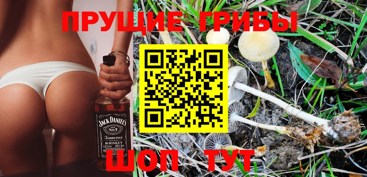 Галлюциногенные грибы Psilocybe  Галлюциногенные грибы Magic Shrooms  Вход с VPN  Котовск 